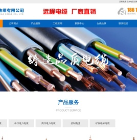 远程电缆
