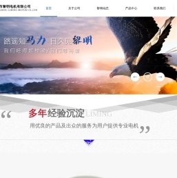 嵊州市黎明电机有限公司