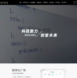 上海新数网络科技股份有限公司