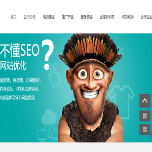 专业seo整站优化