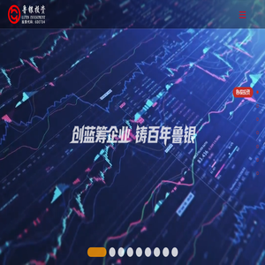 鲁银投资集团股份有限公司