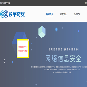 数字奇安集团