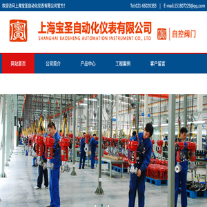 上海宝圣自动化仪表有限公司