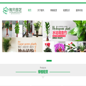 西安绿植租赁,西安绿植租摆,西安花卉租赁,西安办公室绿植租摆