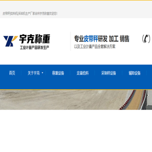 电子皮带秤