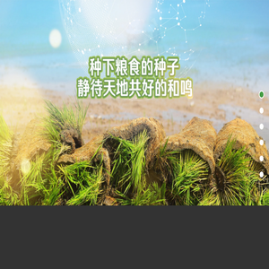 五常市永和米业有限责任公司