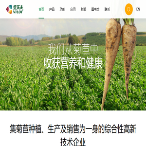 维乐夫