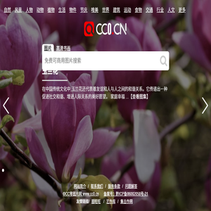 cc0图片网（cc0.cn）