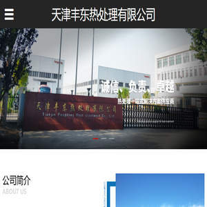 天津丰东热处理有限公司