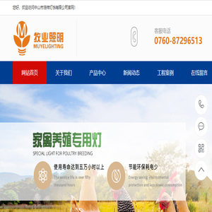 家禽灯
