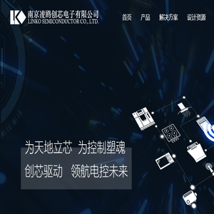 南京凌鸥创芯电子有限公司