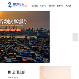 国际海运物流公司
