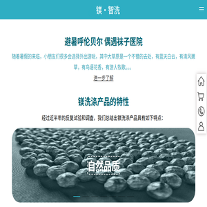 镁·智洗