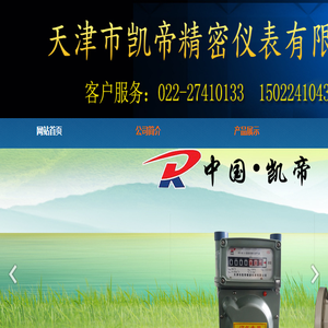 天津市凯帝精密仪表有限公司
