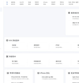 他们都叫我柯基