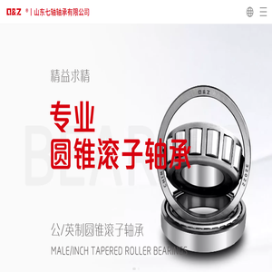 山东七轴轴承有限公司