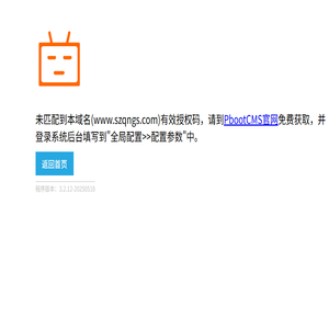 高精度皮带秤