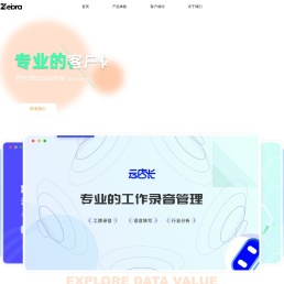 光速斑马