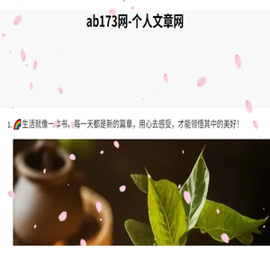 173软件站