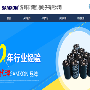 深圳市博照通电子有限公司SAMXON