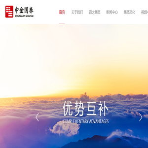 中金国泰实业
