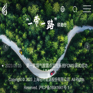 上海轻叶能源股份有限公司
