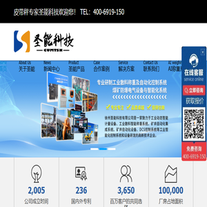 皮带秤专家