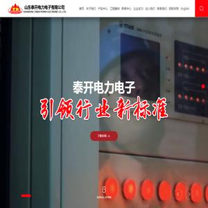 山东泰开电力电子有限公司