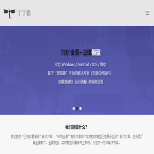 丁丁猫
