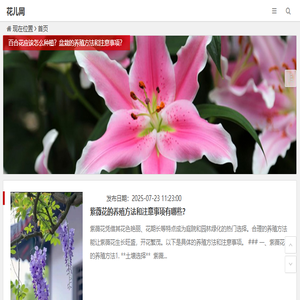 花儿网