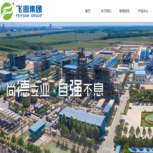 山东飞源集团有限公司