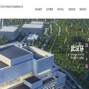 武汉环境投资开发集团有限公司