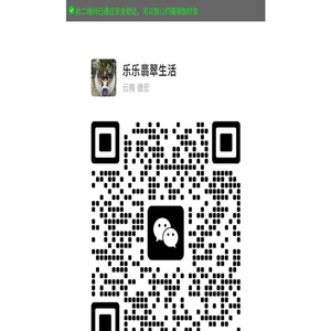 公司首页
