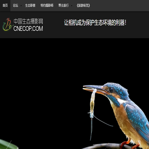 中国生态摄影网