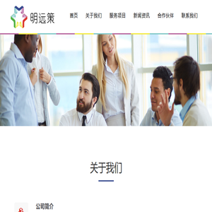 IPD咨询