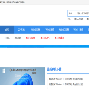 鹰王系统官网