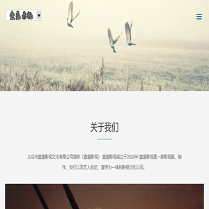 义乌市壹盛影视文化有限公司