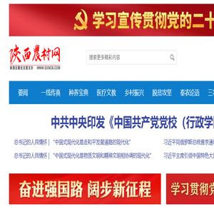 陕西农村网