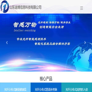 山东迪博信息科技有限公司