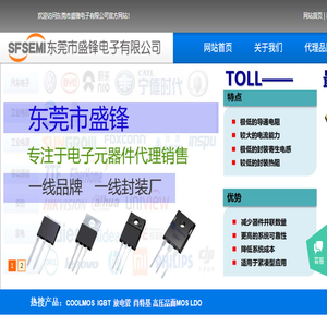 东莞市盛锋电子有限公司