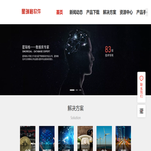 星瑞格数据库