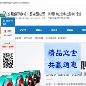 合肥盛亚电机电泵有限公司,潜水电机,潜水电泵,污水泵