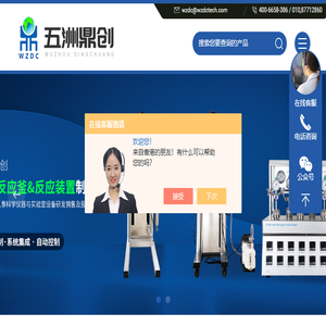 视窗反应釜