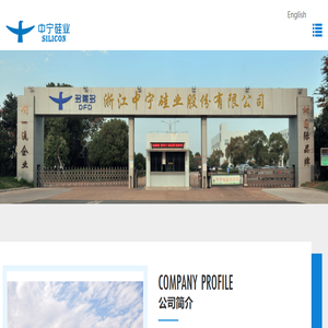 浙江中宁硅业有限公司