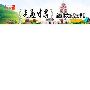 中国民星网