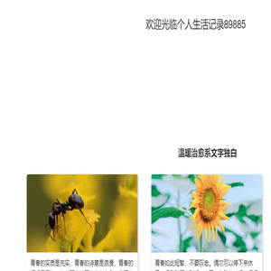 上海天气预报15天查询,上海天气预报一周