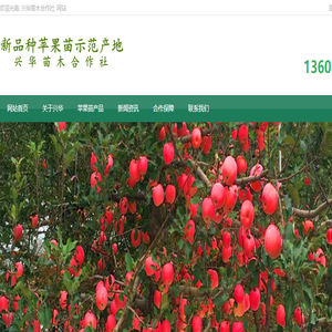 新品种苹果苗示范产地