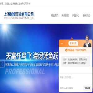 上海电子磅
