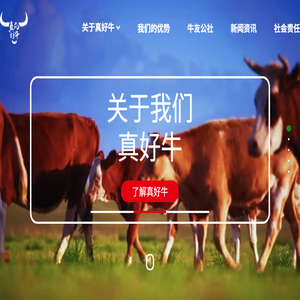 真好牛（深圳）科技有限公司