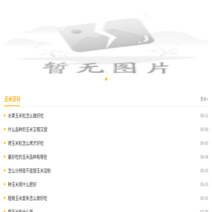 沪市玉米网